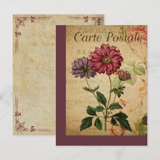 Botanische Franse Post Kaart Anemone (Voorkant / Achterkant)