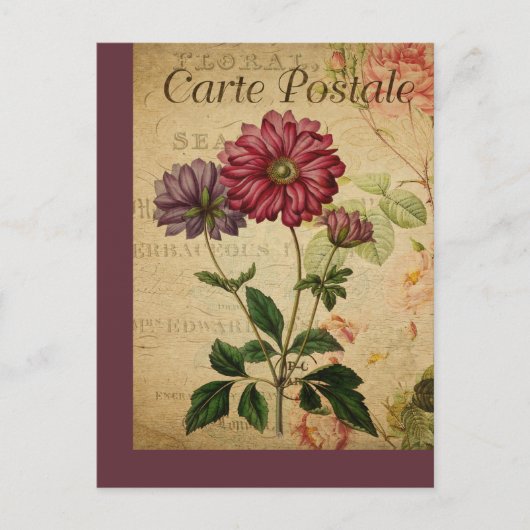  Botanische Franse Post Kaart Anemone (Voorkant)