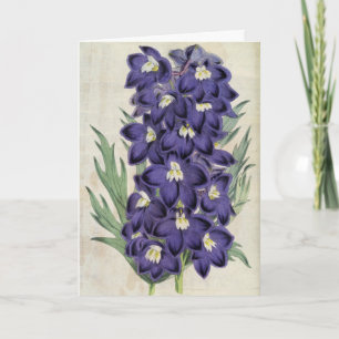  botanische Fraser's bijen Larkspur Kaart