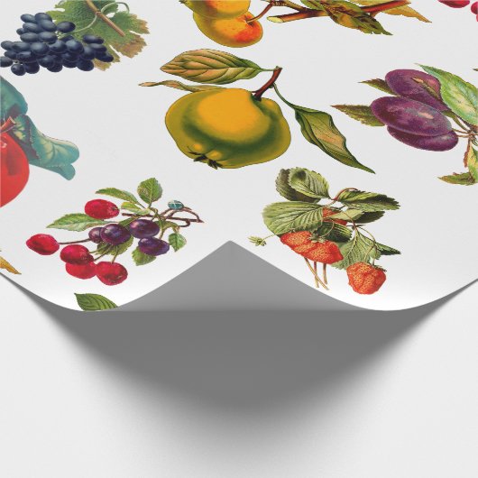 Botanische Fruitappels Peren Druiven Kunst Cadeaupapier (Hoek)