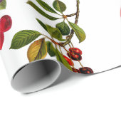  Botanische Fruitappels Peren Druiven Kunst Cadeaupapier (Rol Hoek)