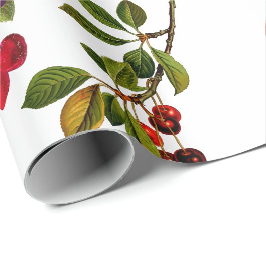  Botanische Fruitappels Peren Druiven Kunst Cadeaupapier (Rol Hoek)