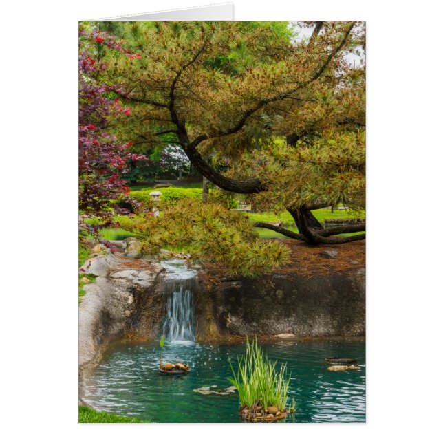 Botanische geblissen (Voorkant)