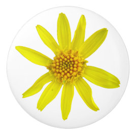 Botanische gele arnica Wilde bloem op elke kleur Keramische Knop