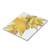 Botanische Gele Banaan Tegeltje (Zijkant)