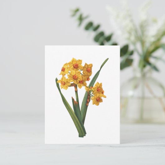 Botanische gele diaffodil briefkaart (Staand voorkant)