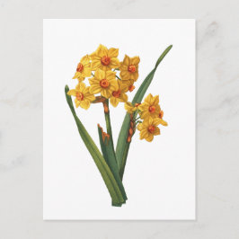 Botanische gele diaffodil briefkaart