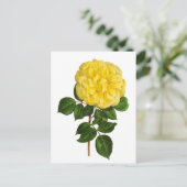 Botanische Gele Pioen Briefkaart (Staand voorkant)