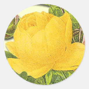 Botanische gele rozenbok ronde sticker