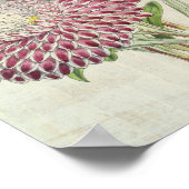  botanische gestremde pony-pleisters poster (Hoek)