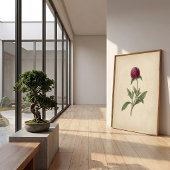 Botanische Globe Amaranth Vintage Print Kunst