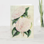  botanische graafschappen van Derby Camellia Kaart (Voorkant)