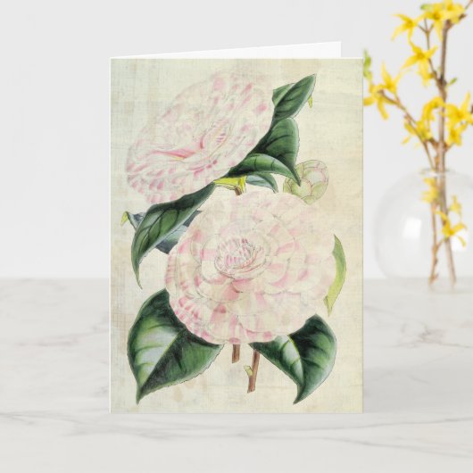  botanische graafschappen van Derby Camellia Kaart (Gele Bloem)