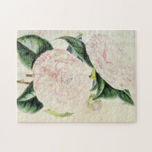  botanische graafschappen van Derby Camellia Legpuzzel (Horizontaal)