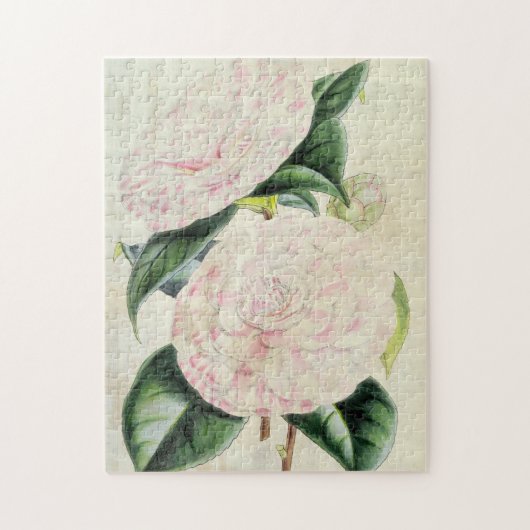 botanische graafschappen van Derby Camellia Legpuzzel (Verticaal)