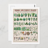  botanische grafiek: Bladeren en bloemen Briefkaart (Voorkant / Achterkant)