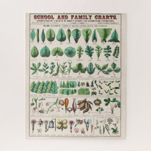 botanische grafiek: bladeren en bloemen legpuzzel