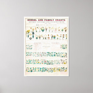  botanische grafiek: classificatie van Planten Canvas Afdruk