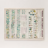  botanische grafiek: classificatie van Planten Legpuzzel (Horizontaal)