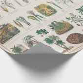  botanische grafiek: Economisch gebruik van Plante Cadeaupapier (Hoek)