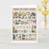  botanische grafiek: economisch gebruik van Plante Kaart (Gele Bloem)