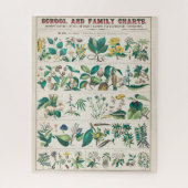 botanische grafiek: economisch gebruik van Plante Legpuzzel (Verticaal)