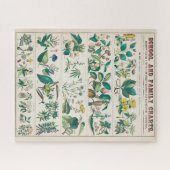 botanische grafiek: economisch gebruik van Plante Legpuzzel (Horizontaal)