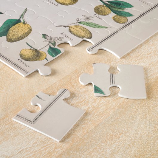  botanische grafiek: economisch gebruik van Plante Legpuzzel (Zijkant)