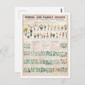  botanische grafiek: Indeling van Planten  Briefkaart (Voorkant / Achterkant)