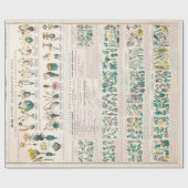  botanische grafiek: Indeling van Planten Cadeaupapier (Vlak)