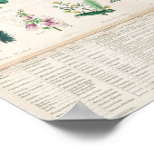  botanische grafiek poster (Hoek)