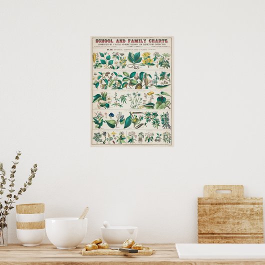  botanische grafiek poster (Keuken)