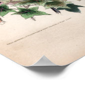 Botanische gravings, december poster (Hoek)