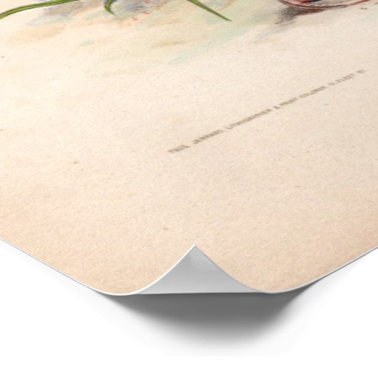 Botanische gravings, februari poster (Hoek)