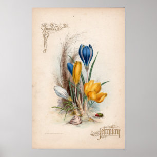 Botanische gravings, februari poster