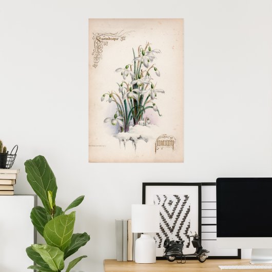 Botanische gravings, januari poster (Thuiskantoor)
