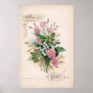 Botanische gravings, juni poster
