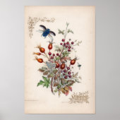 Botanische gravings, november poster (Voorkant)