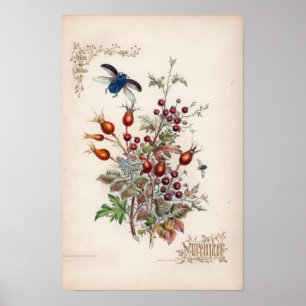 Botanische gravings, november poster