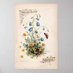 Botanische gravings, september poster