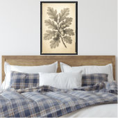 botanische gravure van eikenbladeren canvas afdruk (Insitu (Slaapkamer))