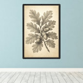 botanische gravure van eikenbladeren canvas afdruk (Insitu (Houten vloer))