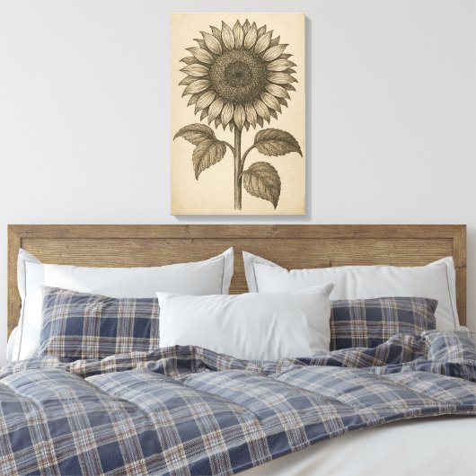 botanische gravure van zonnebloemhoofd canvas afdruk (Insitu (Slaapkamer))
