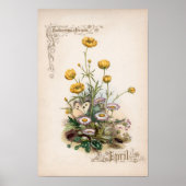 Botanische gravures, april poster (Voorkant)