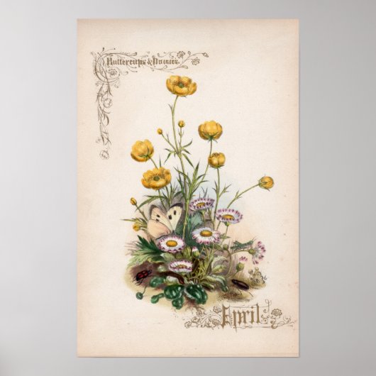 Botanische gravures, april poster (Voorkant)