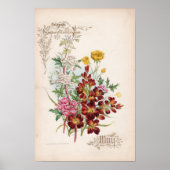 Botanische gravures, mei poster (Voorkant)