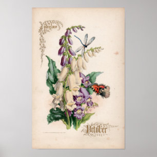 Botanische gravures, oktober poster