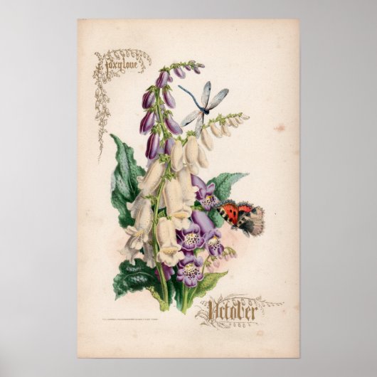Botanische gravures, oktober poster (Voorkant)