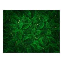 Botanische Greenery Leaf Pile Poster
