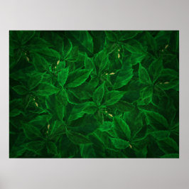 Botanische Greenery Leaf Pile Poster